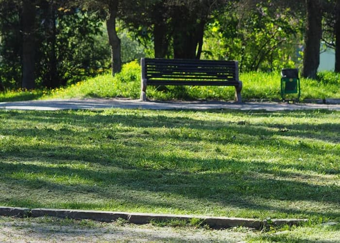 Вишенський парк