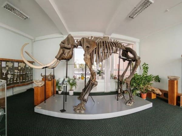 Вінницький краєзнавчий музей